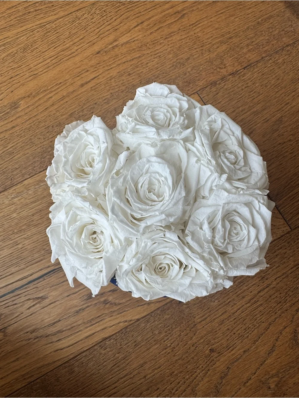 Los Angeles The Million Roses Velvet Hat Box in Royal Blue with White Rose